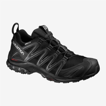 Salomon XA PRO 3D CS WP Mens Hiking Shoes Black | Salomon South Africa